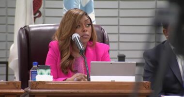 Tiffany Henyard files lawsuits against Thornton Township Democratic Party, Dolton trustees and officials amid political turmoil