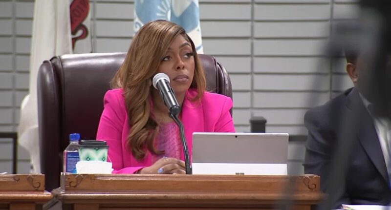 Tiffany Henyard files lawsuits against Thornton Township Democratic Party, Dolton trustees and officials amid political turmoil