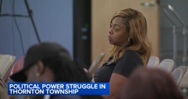 Tiffany Henyard news: Allies of Thornton Township supervisor, who also serves as Dolton mayor, get challengers kicked off ballot