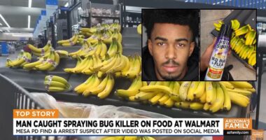 TikToker sprayed produce with pesticide for 'prank': Cops