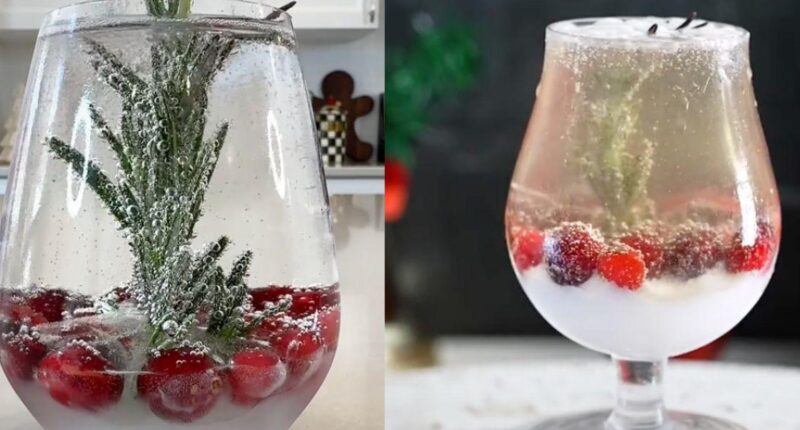 TikTok’s Snow Globe Cocktail Is The Festive Drink Taking Christmas By Storm