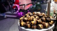 'Tis the season for roasting chestnuts. But in the US, native ones are almost gone