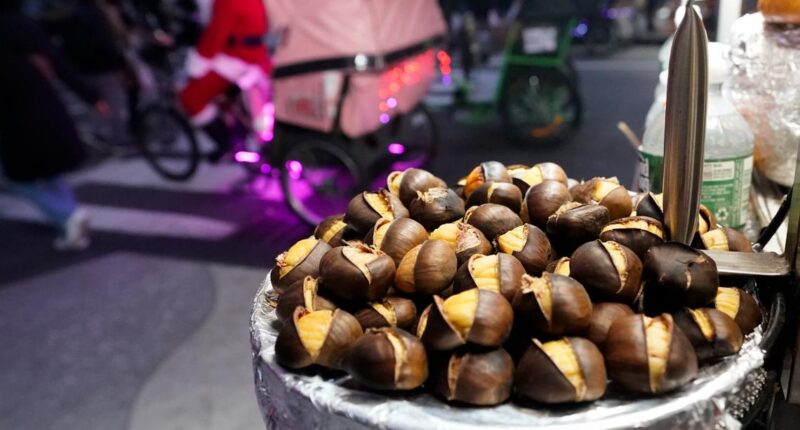 'Tis the season for roasting chestnuts. But in the US, native ones are almost gone