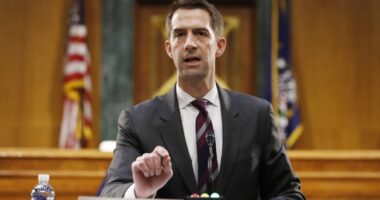 Tom Cotton Argues PRESS Act Protects 'Deep-State Traitors' and 'Fame-Hungry Journalists,' but Does it?