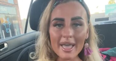 Traveller, 21, whose marriage was described as a Romeo and Juliet romance, dies - with 'machete-wielding driver who had threatened her family' arrested