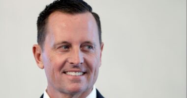 Trump appoints longtime foreign policy adviser Richard Grenell to serve as special missions envoy