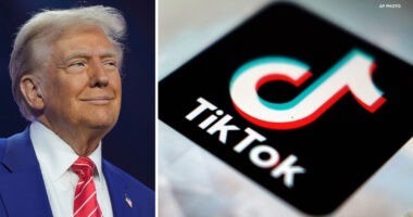 Trump asks Supreme Court to delay TikTok ban so he can weigh in after he takes office