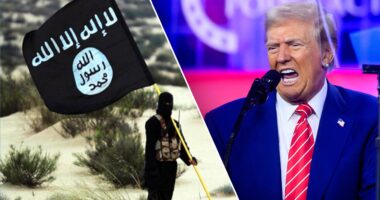 Trump could face renewed ISIS threat in Syria as Turkey goes after US ally