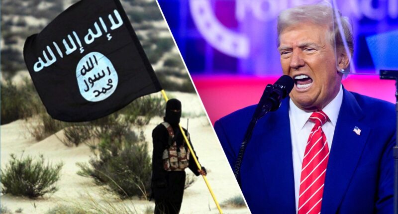 Trump could face renewed ISIS threat in Syria as Turkey goes after US ally