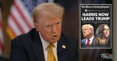 Trump sues pollster and newspaper over 'false' Harris poll