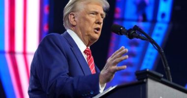 President-elect Donald Trump is seen here at AmericaFest on December 22 in Phoenix. Trump's speech largely echoed the rhetoric he used on the campaign trail.