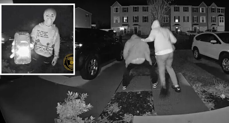 'Twerking' porch pirates upset video of theft posted online