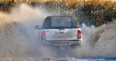 UK Government sends emergency alert to millions of Brits' mobile phones as Storm Darragh moves in: Here's everything you need to know