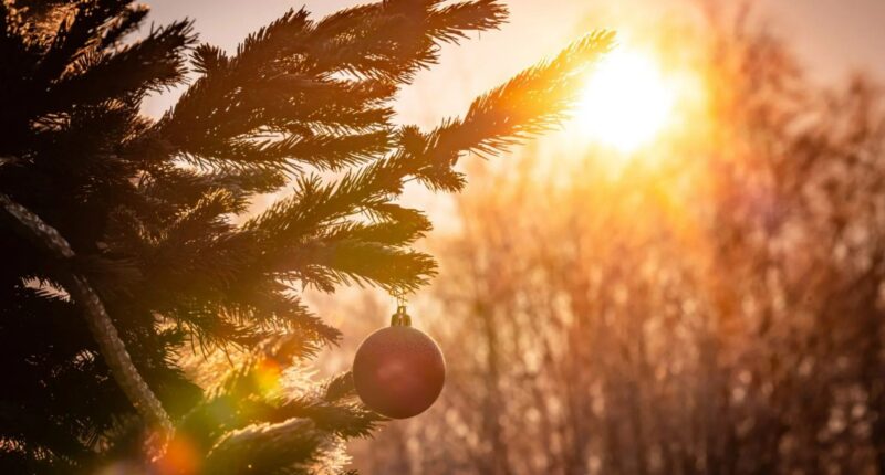 UK weather: Brits to wake up to ‘green Christmas’ with no snow or frost and ‘exceptionally’ warm temperatures