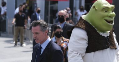 UPDATE: Newsom's Bird Flu State of Emergency Declaration Could Be Illegal, Attorneys Say