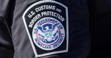 US Customs and Border Protection pilot killed in helicopter crash near San Diego