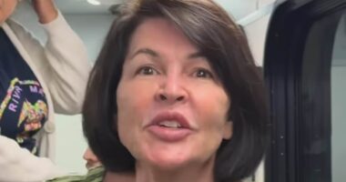 United Airlines 'racist Karen' tells her side of the story as she's unmasked as California real estate agent