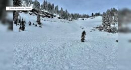 Utah brothers survive avalanche after one pulls other out of snow burial