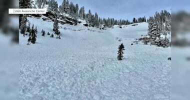 Utah brothers survive avalanche after one pulls other out of snow burial