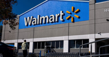 Walmart is hit with lawsuit over massive privacy breach that ‘took advantage of millions & forced $10 million in fees’