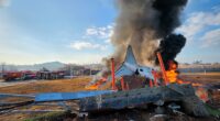 War of words over crashed South Korean jet as experts say bird strike would NOT have crippled landing gear and emergency touch-down with longer runway may have saved some of the 179 killed