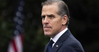 Washington DC reacts to President Biden pardoning son Hunter in shock decision