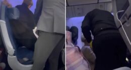 Watch moment female stowaway, 57, is snared after making it across the ATLANTIC having sneaked through airport unnoticed