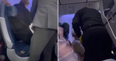 Watch moment female stowaway, 57, is snared after making it across the ATLANTIC having sneaked through airport unnoticed