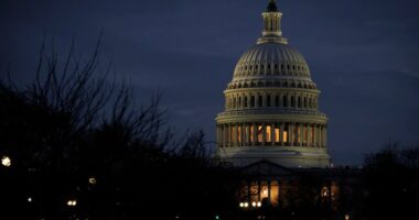 What is the meaning of a government shutdown?