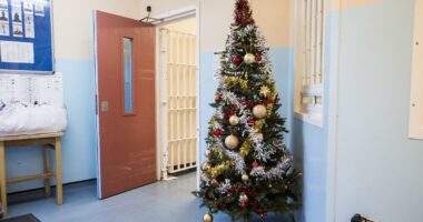 What it's really like to spend Christmas behind bars: From brewing their own booze, to carol singing and the turkey dinner, ex-prison  governor reveals how inmates will spend festive season