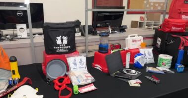 What items should you have in your earthquake emergency kit?