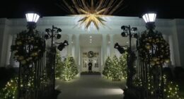 White House Christmas decorations 2024: First Lady Dr. Jill Biden takes ABC7 on tour of 'Season of Peace and Light' display