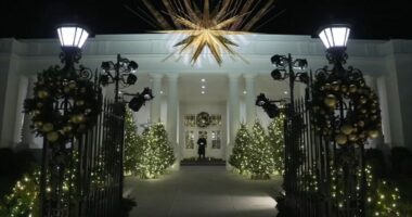 White House Christmas decorations 2024: First Lady Dr. Jill Biden takes ABC7 on tour of 'Season of Peace and Light' display