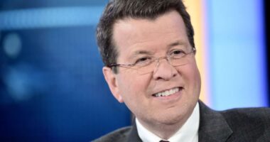 Who is former Fox News journalist Neil Cavuto?