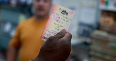 Winner of $197m Mega Millions jackpot Faramarz Lahijani sues lottery and insists he’s owner of TWO winning tickets