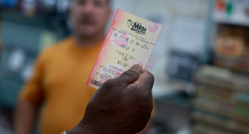 Winner of $197m Mega Millions jackpot Faramarz Lahijani sues lottery and insists he’s owner of TWO winning tickets