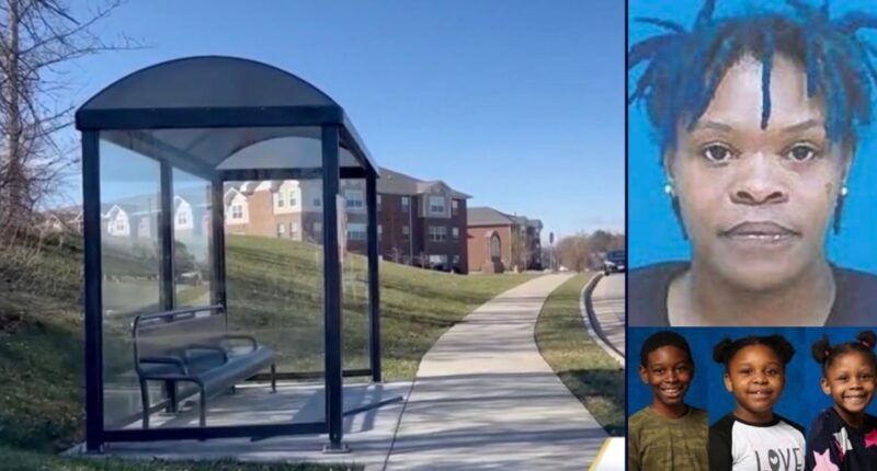 Woman abducted 3 estranged kids from Virginia bus stop