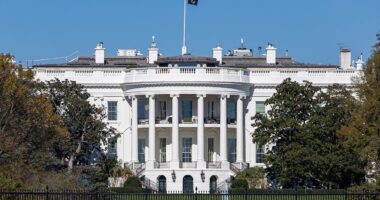 Woman arrested for attempting to climb fence outside White House