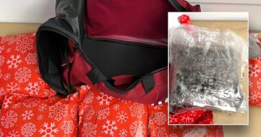 Woman arrested for attempting to smuggle 22 pounds of meth wrapped as Christmas gifts in carry-on bag