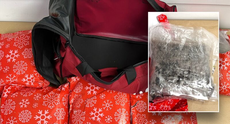 Woman arrested for attempting to smuggle 22 pounds of meth wrapped as Christmas gifts in carry-on bag