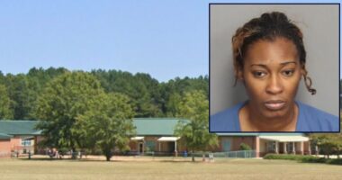 Woman posing as teacher attacked special-needs student: Cops