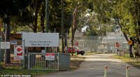 There are 50 female detainees nationwide, with most held in Villawood (pictured)