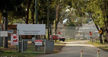 There are 50 female detainees nationwide, with most held in Villawood (pictured)