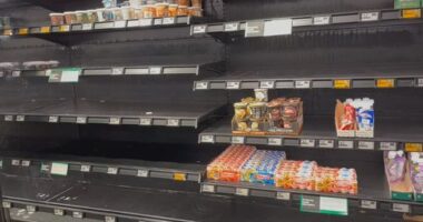 Woolworths shelves are bare and stores are running low on stock as strikes force the closure of five distribution centres.