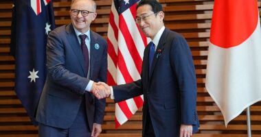 New Australian Prime Minister Anthony Albanese (left) is seeing wearing a bright blue badge to identify him as he shakes hands with Japanese leader Fumio Kishida (right)