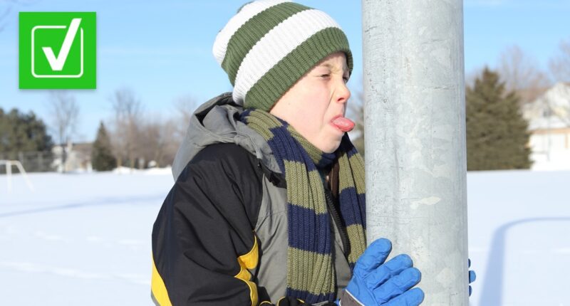 Yes, your tongue can get stuck if you lick a frozen metal pole