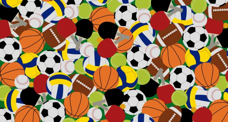 You have 20/20 vision and a high IQ if you can spot the Christmas bauble among the sports balls in less than 11 seconds