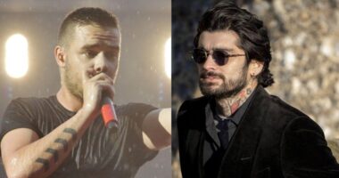 Zayn Malik's Touching Tribute To Liam Payne At Late Singer's Hometown: 'This is for you'