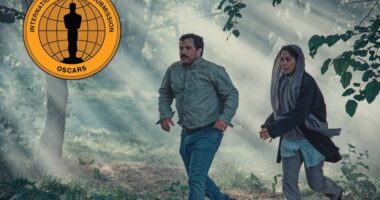 ‘In the Arms of the Tree’ Review: Modest Iranian Film Spins Platitudes Following Two Young Brothers Weathering a Divorce