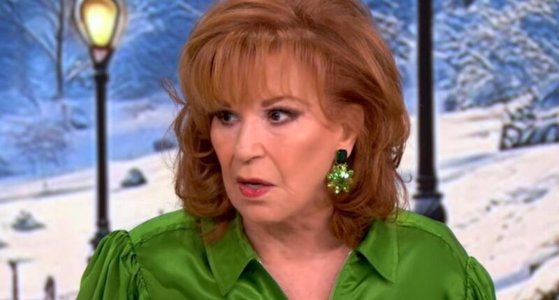 ‘The View’s Joy Behar Scoffs At UnitedHealthcare Suspect’s Alleged Motive In CEO Murder: “Everyone Has Back Pain!”